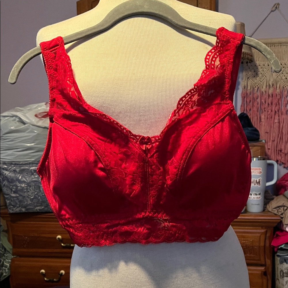 Rhonda Shear Elegant Red Lace Women's Bra, size Large